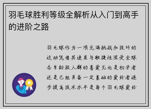 羽毛球胜利等级全解析从入门到高手的进阶之路